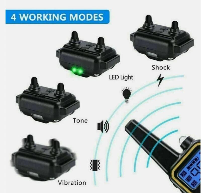 Collare Elettronico per Cani con Telecomando Portata 800m