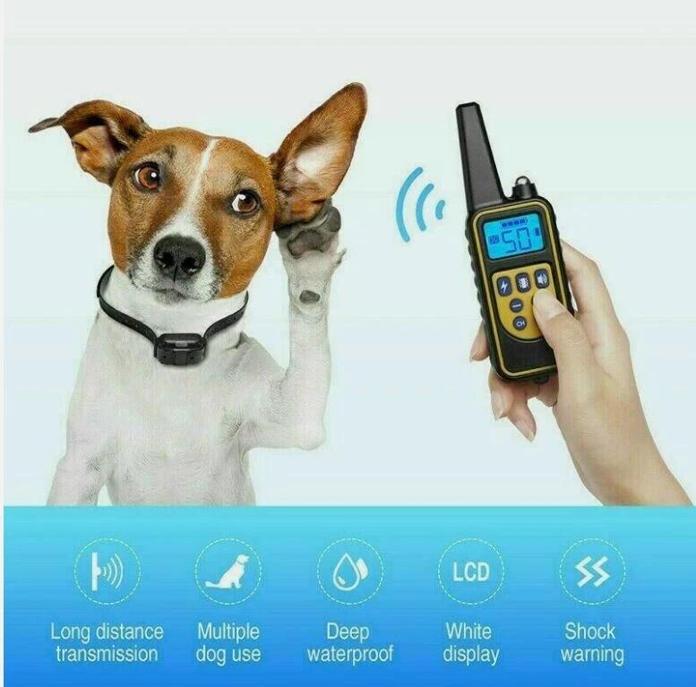 Collare Elettronico per Cani con Telecomando Portata 800m