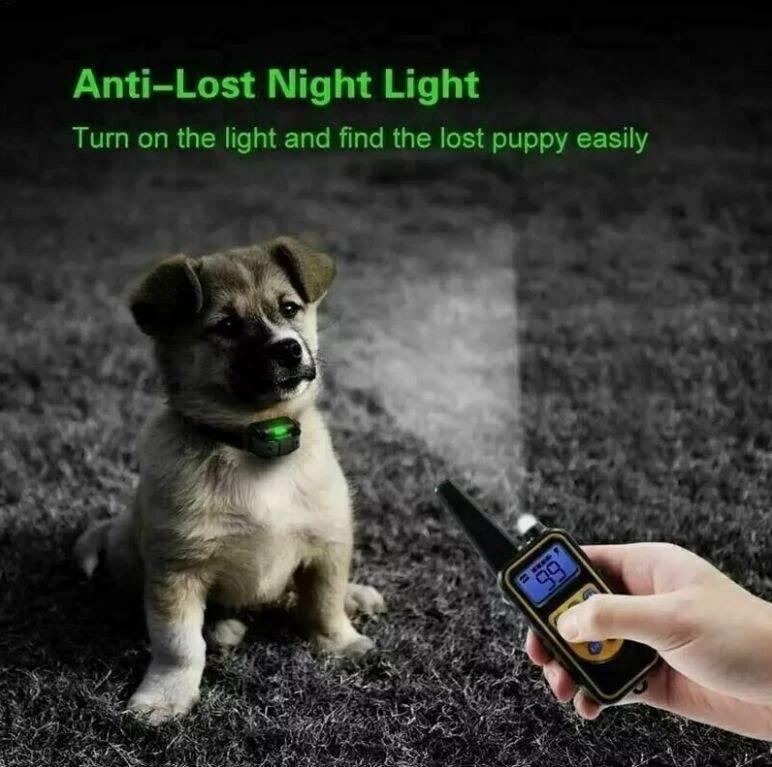 Collare Elettronico per Cani con Telecomando Portata 800m