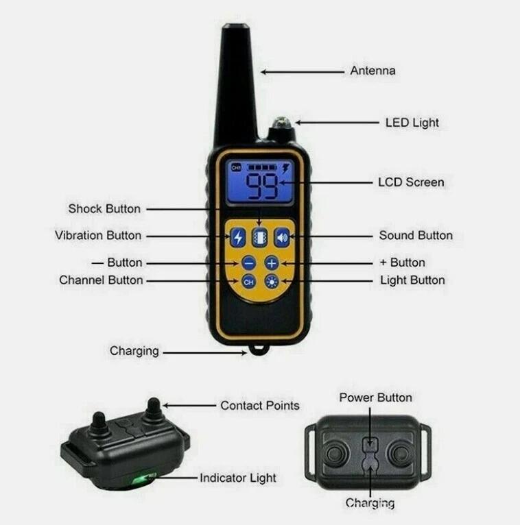 Collare Elettronico per Cani con Telecomando Portata 800m