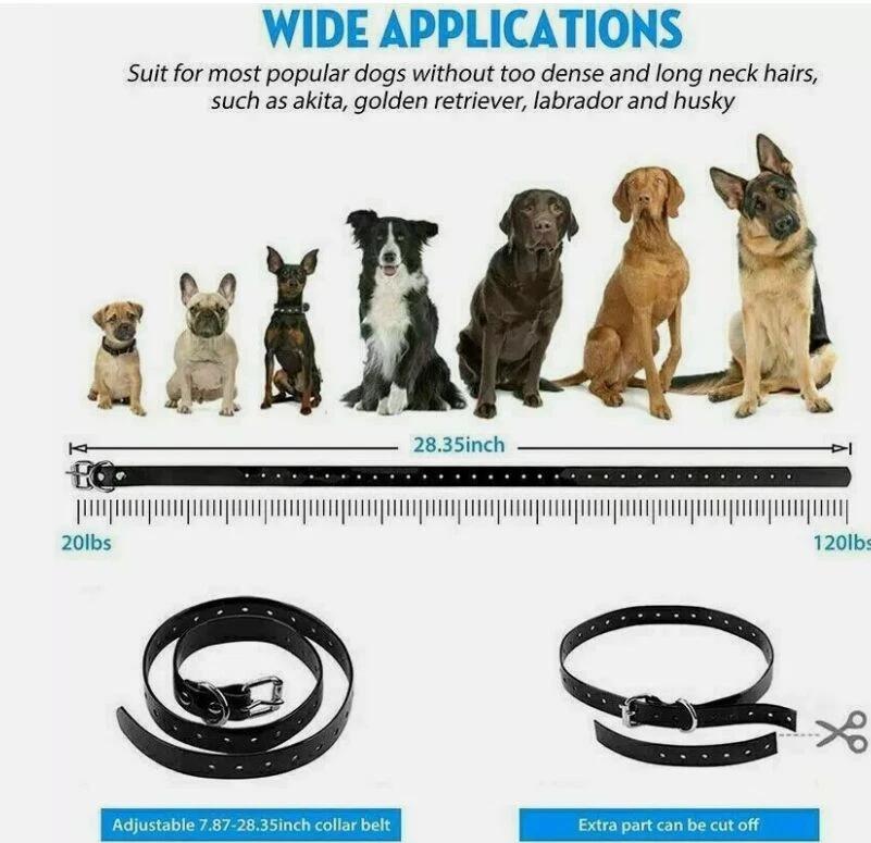 Collare Elettronico per Cani con Telecomando Portata 800m
