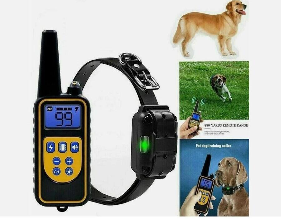 Collare Elettronico per Cani con Telecomando Portata 800m