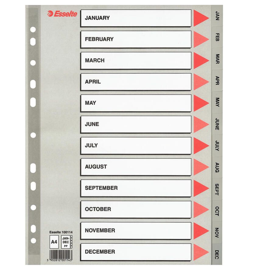 Separatore Intercalare in PPL f.to A4 col. Grigio ESSELTE
