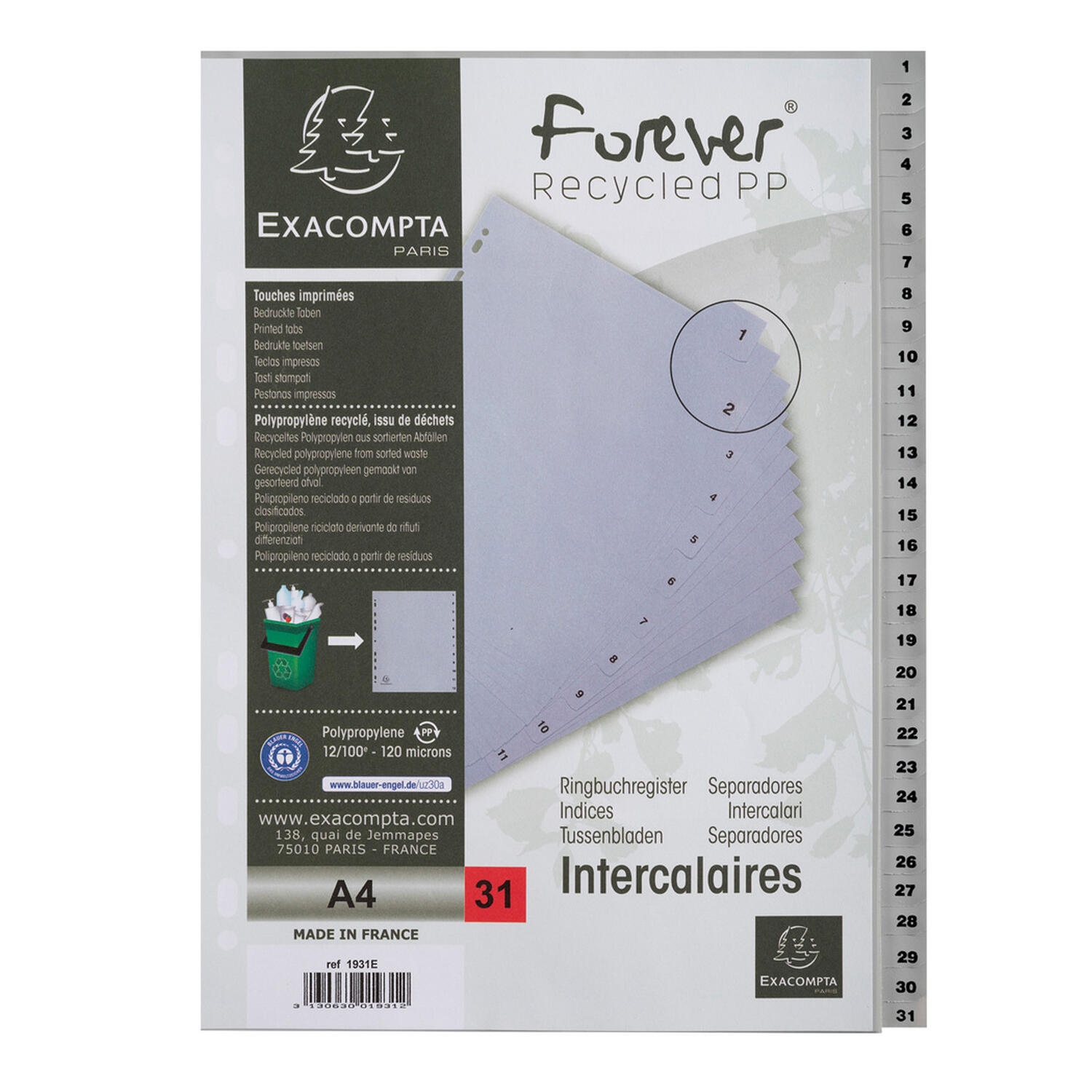 Separatore Intercalare in PP Riciclato f.to A4 col. Grigio EXACOMPTA