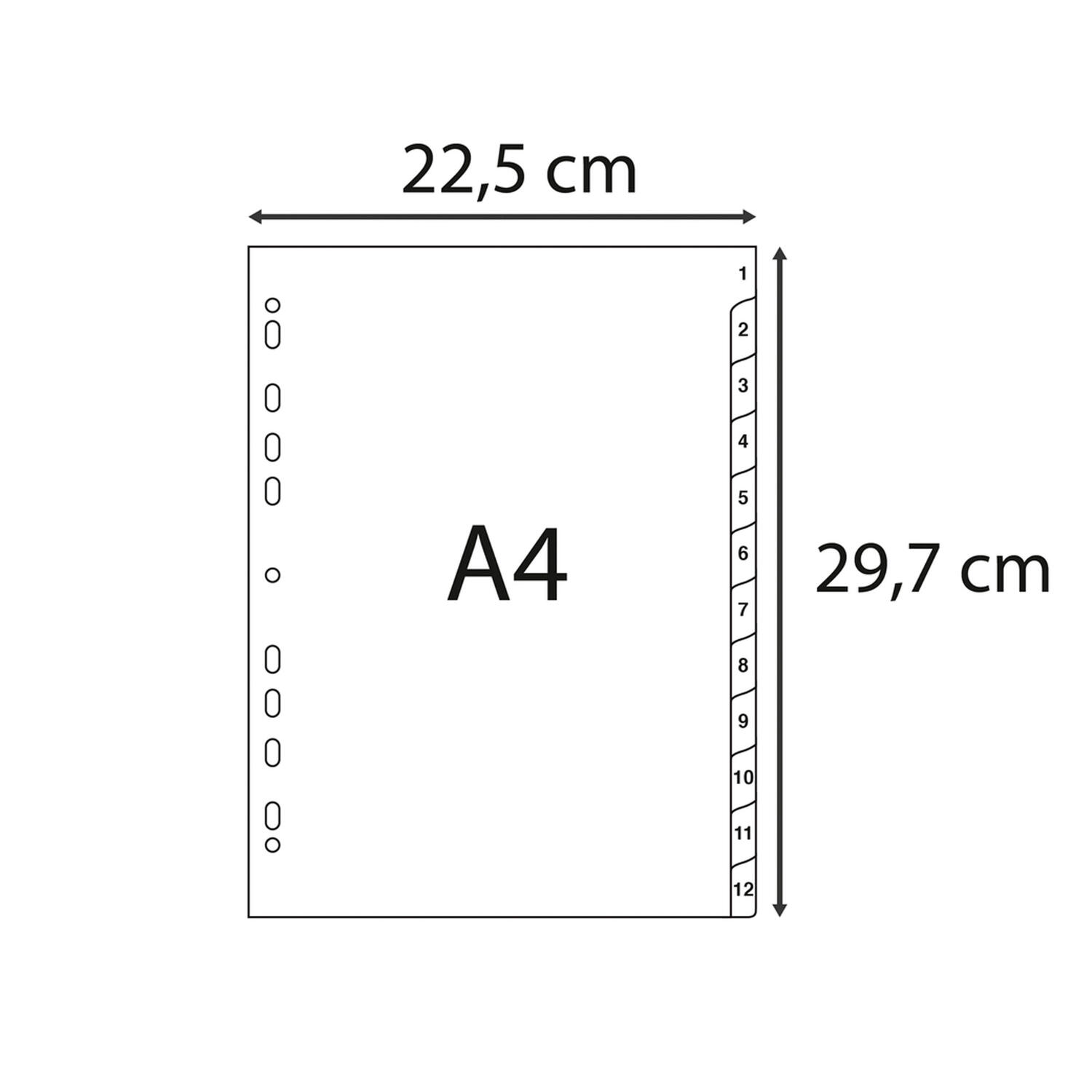 Separatore Intercalare in PP Riciclato f.to A4 col. Grigio EXACOMPTA