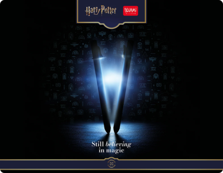 Lovely Friends Harry Potter Legami