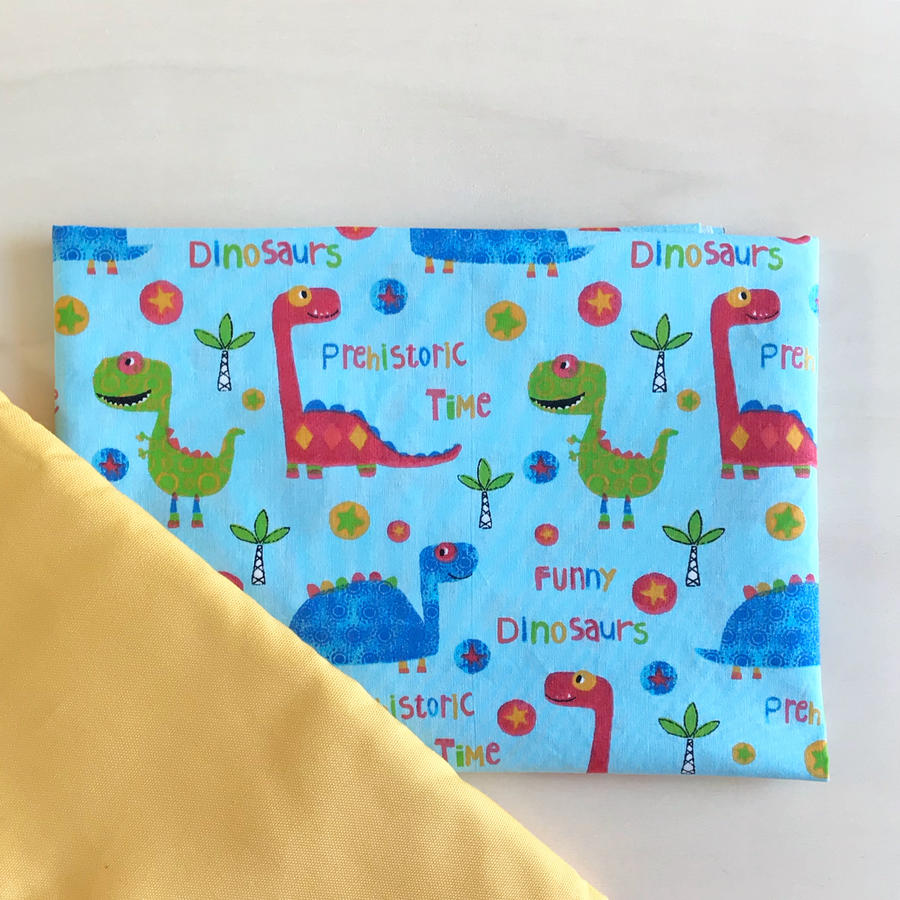 Set Asilo Dinosaurs