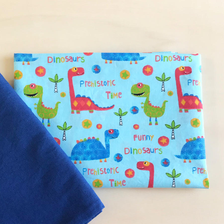 Set Asilo Dinosaurs