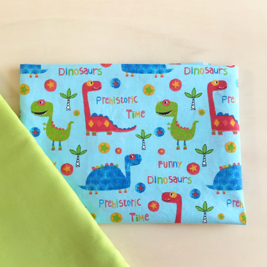 Set Asilo Dinosaurs