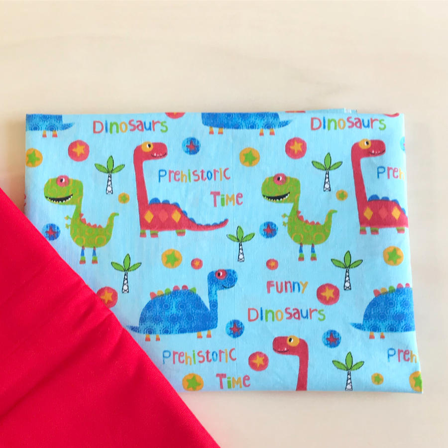 Set Asilo Dinosaurs