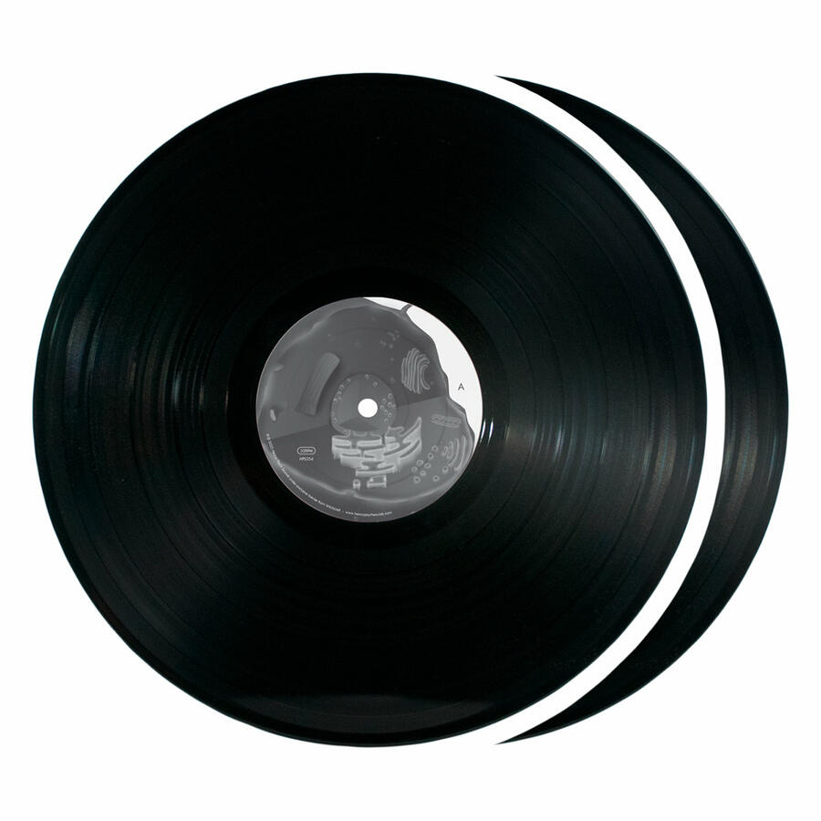 WITCHCRAFT - NUCLEUS -