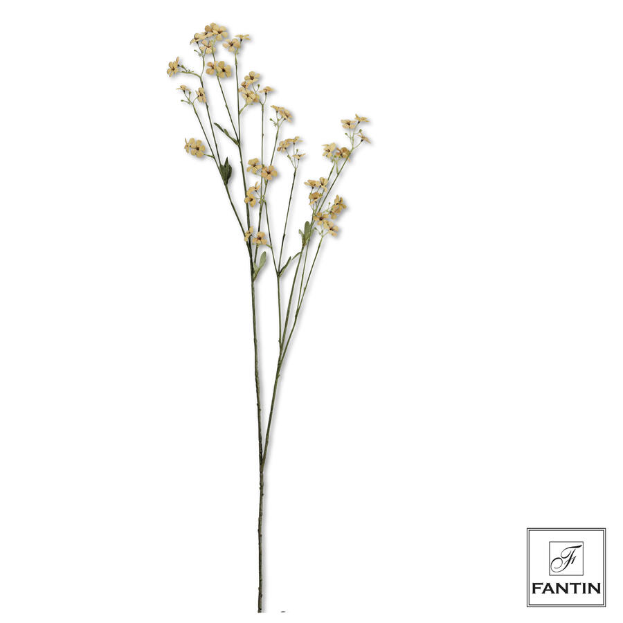 Fantin Argenti - Fiori di Campo 1 stelo