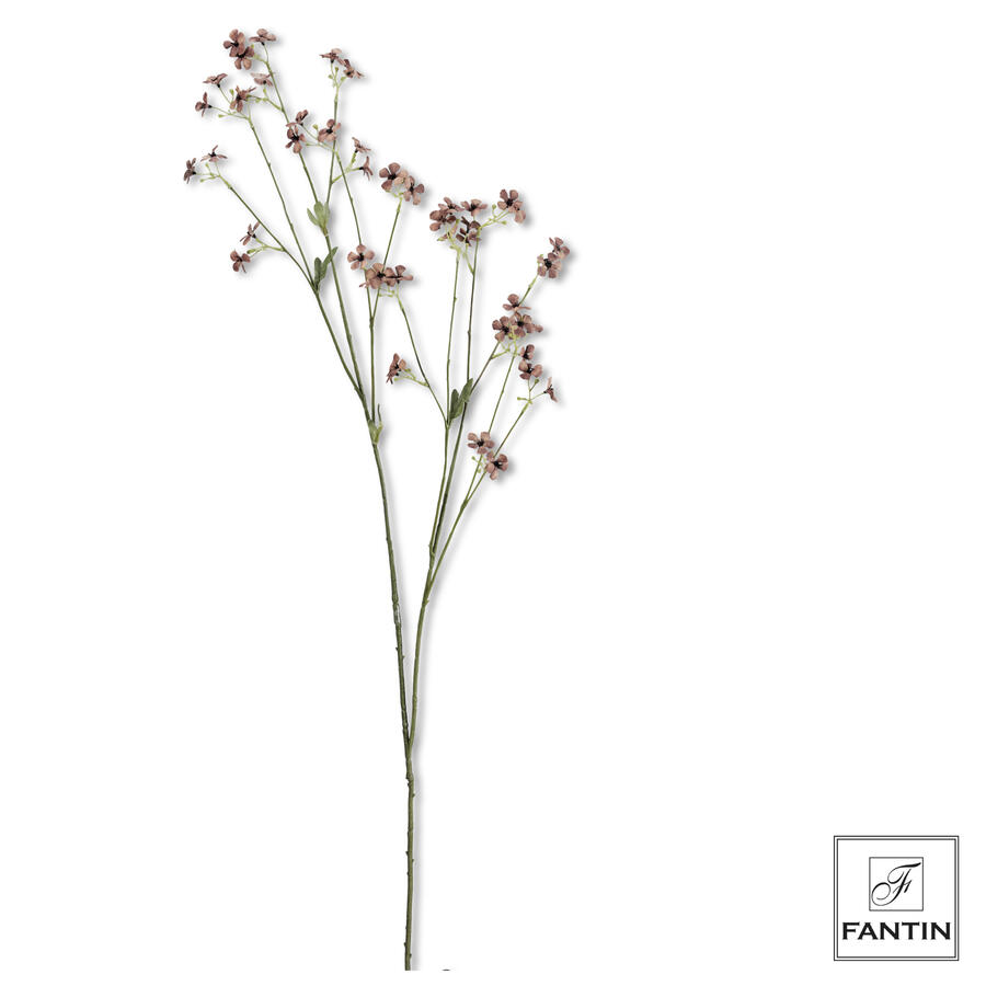 Fantin Argenti - Fiori di Campo 1 stelo