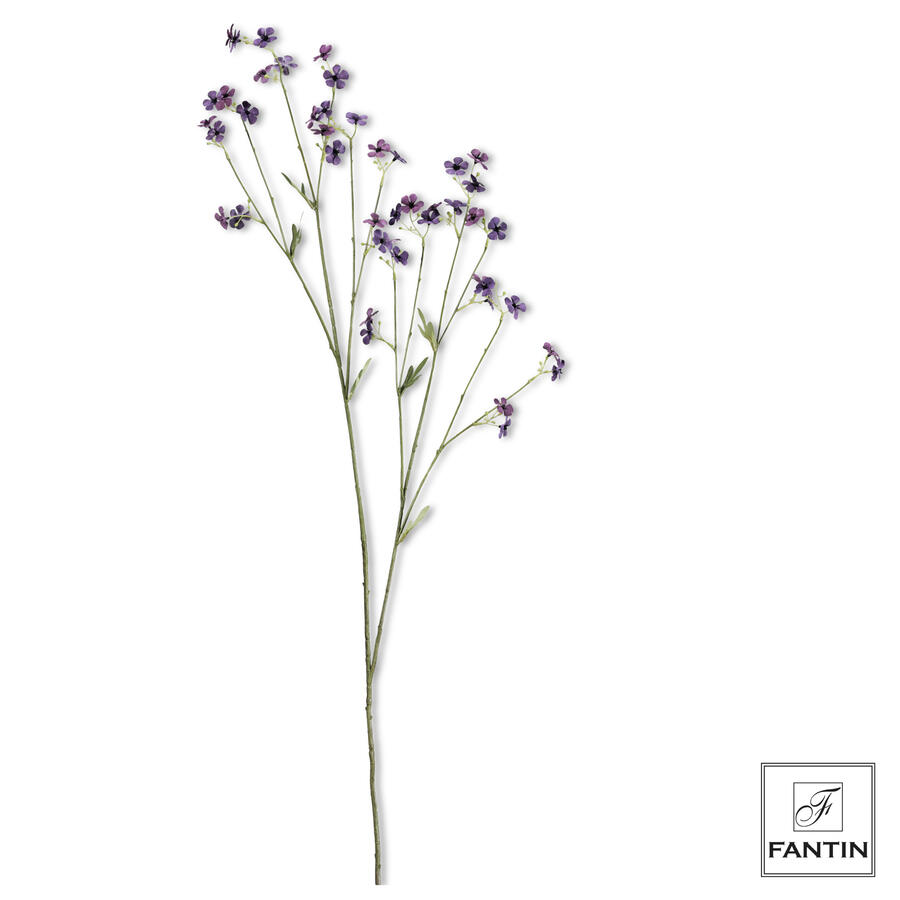 Fantin Argenti - Fiori di Campo 1 stelo