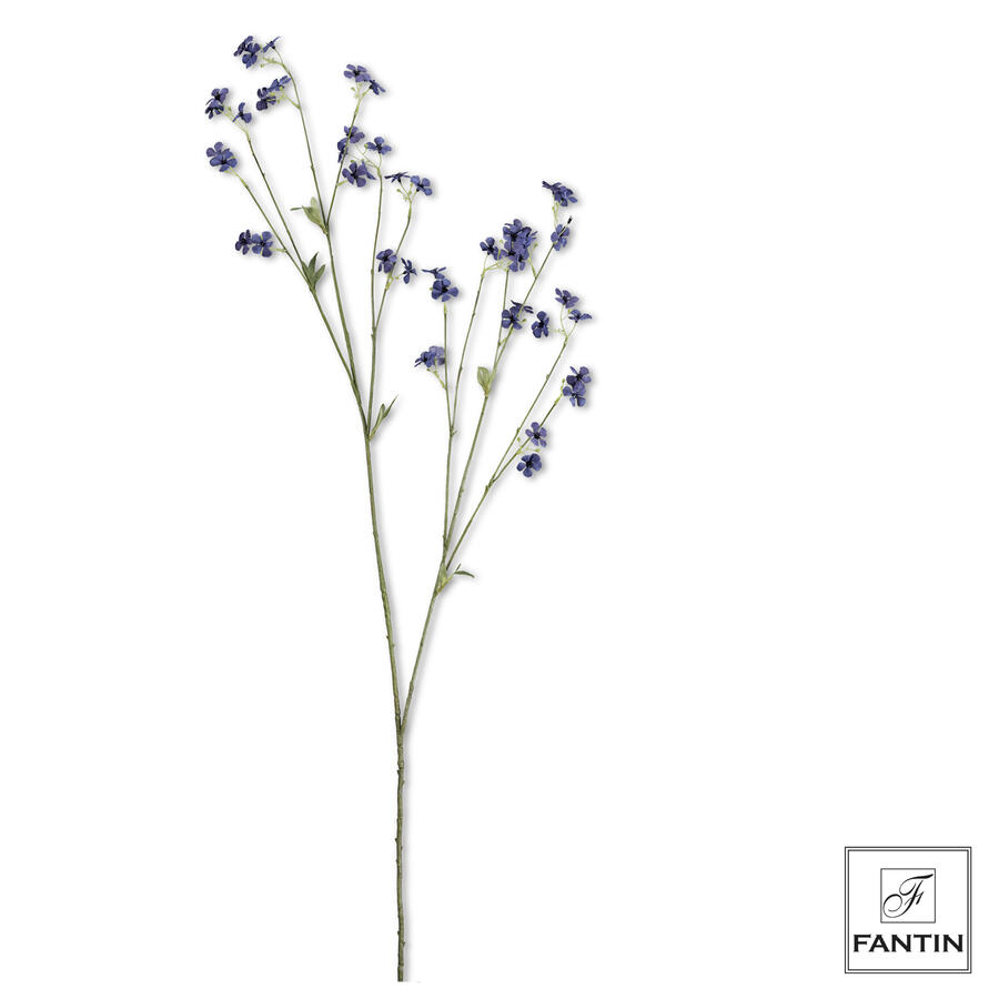 Fantin Argenti - Fiori di Campo 1 stelo