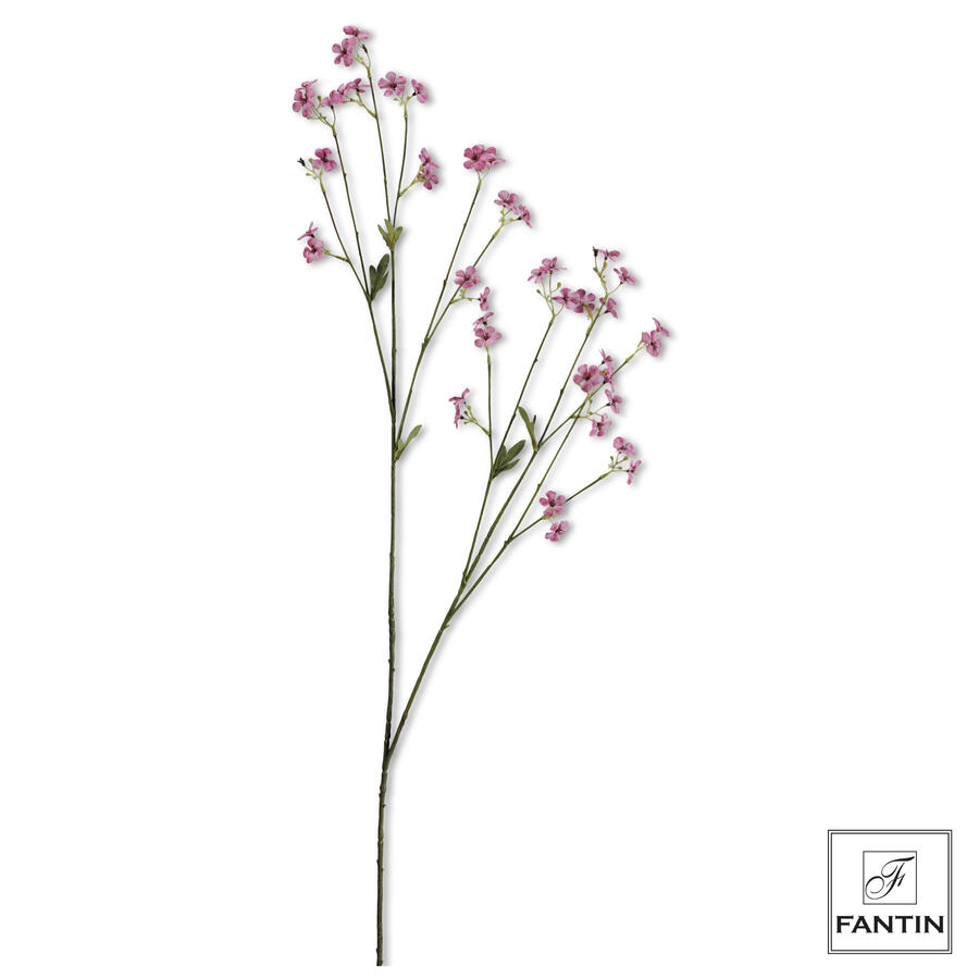 Fantin Argenti - Fiori di Campo 1 stelo