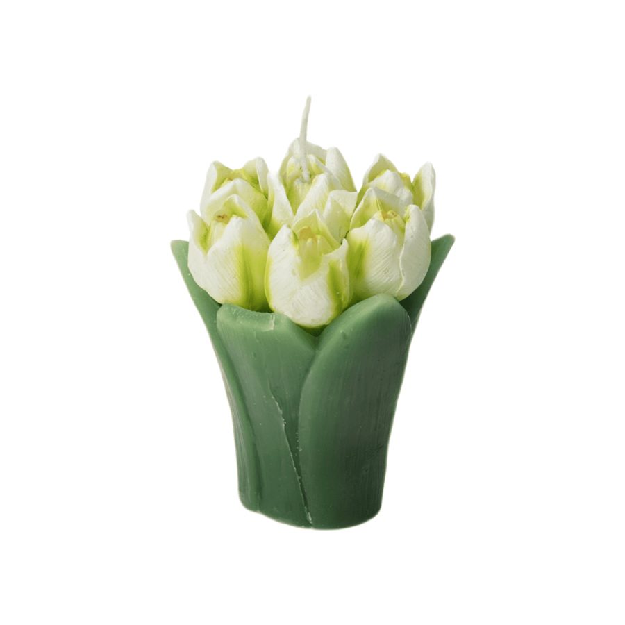Fantin Argenti – Candele Bouquet Tulipani in Cera | 4 Varianti di Colore
