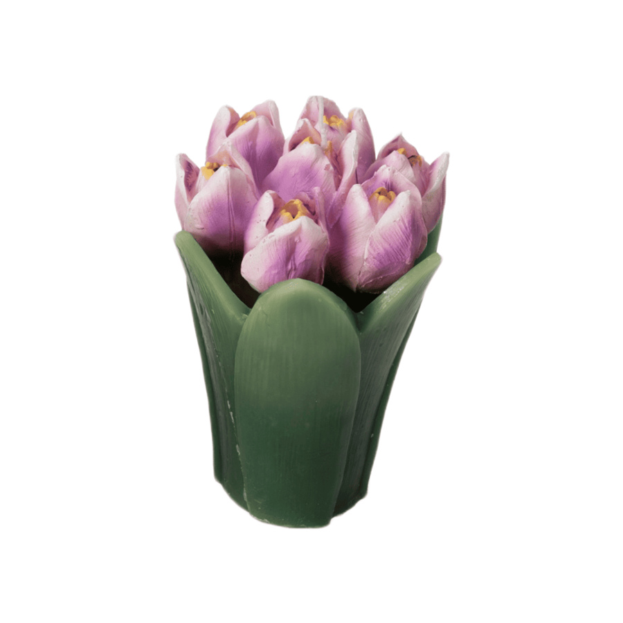 Fantin Argenti – Candele Bouquet Tulipani in Cera | 4 Varianti di Colore