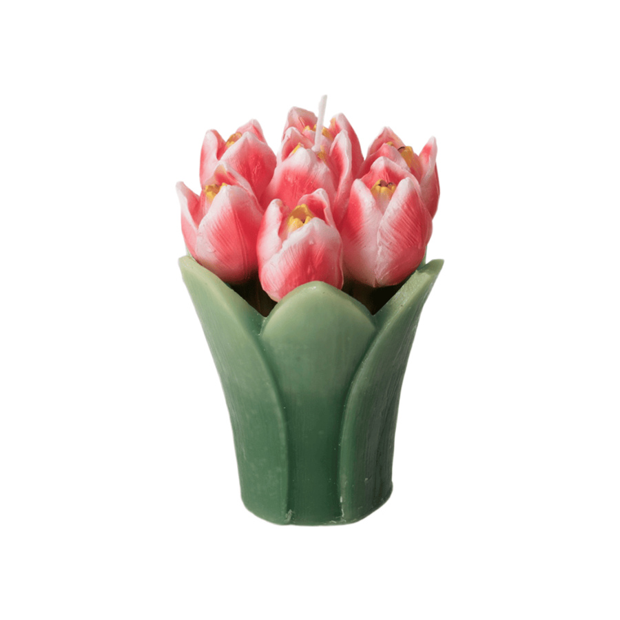 Fantin Argenti – Candele Bouquet Tulipani in Cera | 4 Varianti di Colore