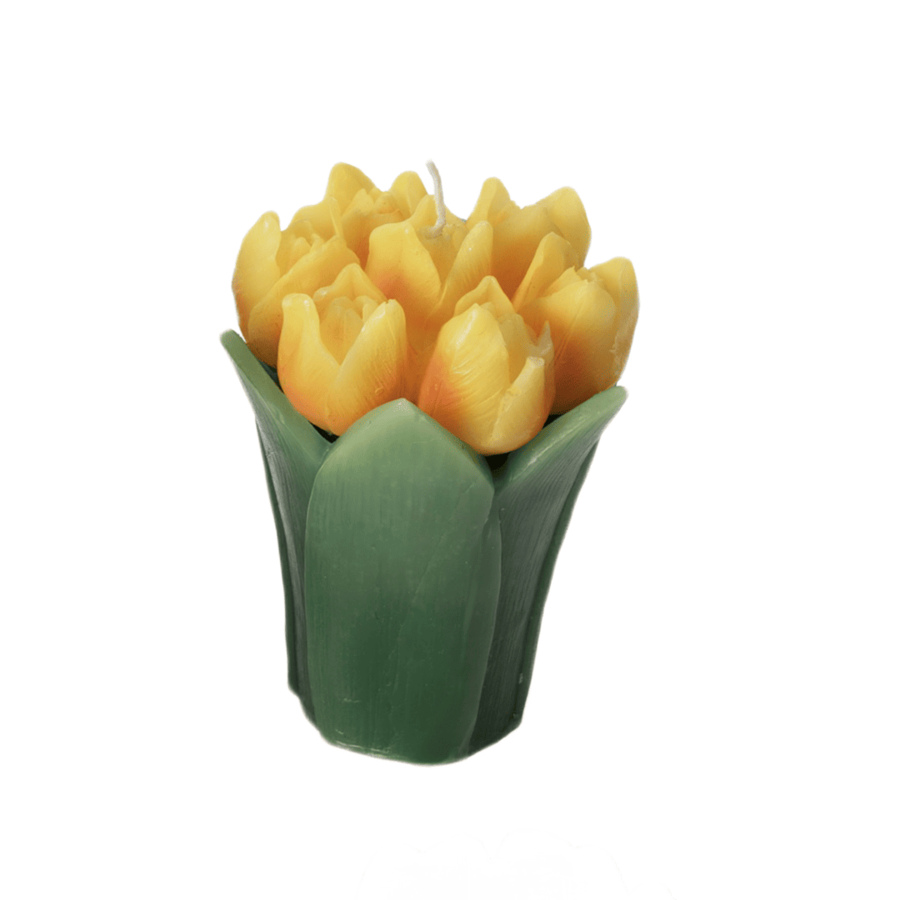 Fantin Argenti – Candele Bouquet Tulipani in Cera | 4 Varianti di Colore
