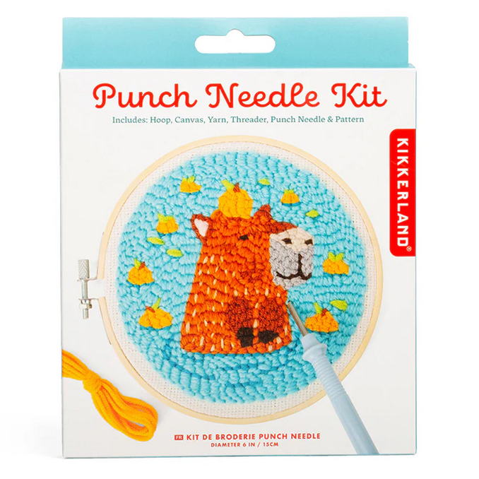 Kit Cucito Punch Needle