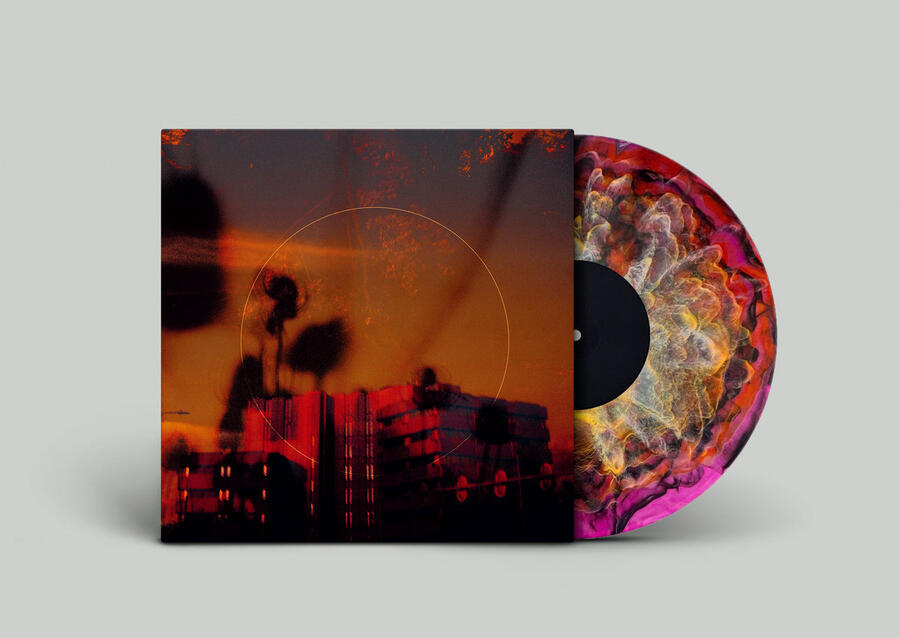 BISMUT - MATSUTAKE - 