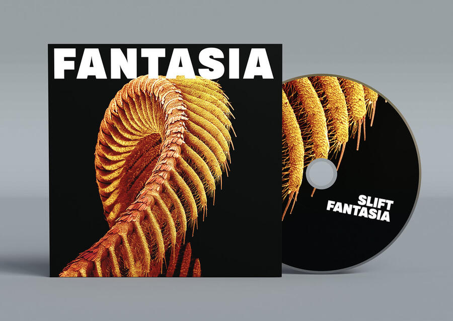 SLIFT - FANTASIA - 