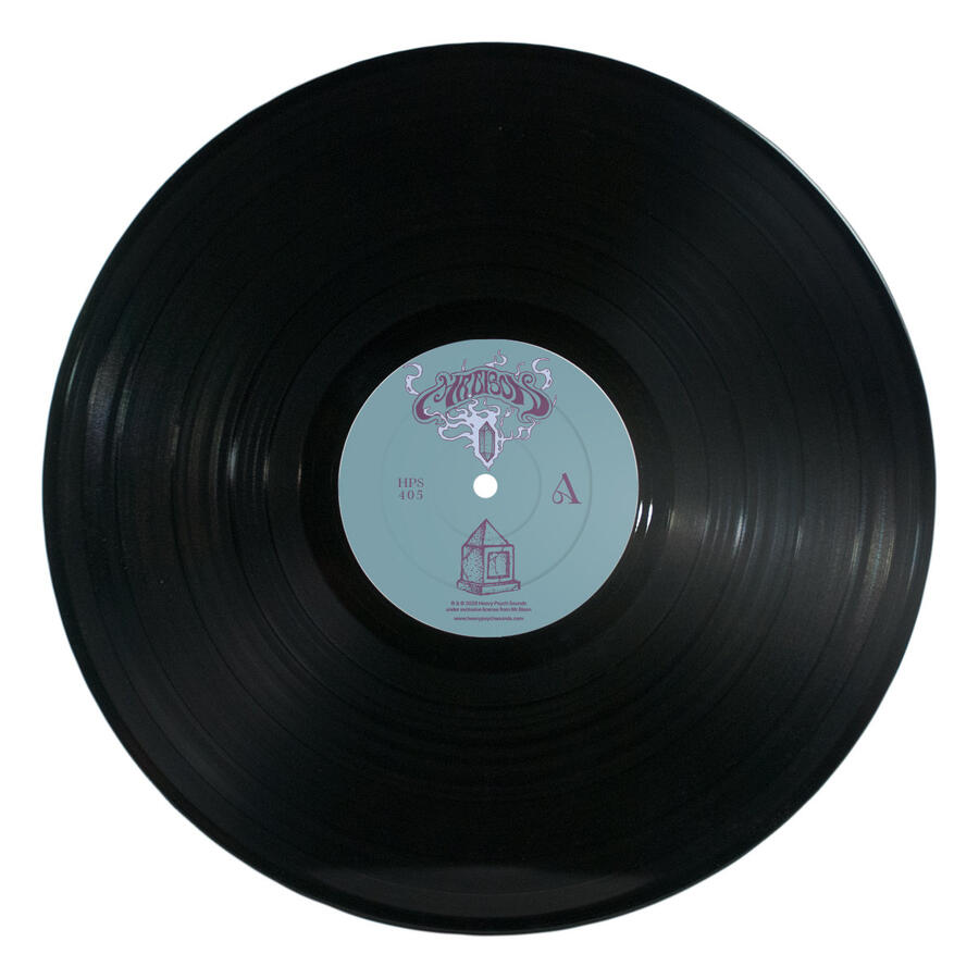 MR.BISON - THE GARDEN OF FORGOTTEN DREAMS -