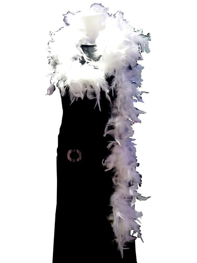 FEATHER BOA COLORED SLIM 