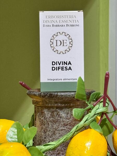 Divina Difesa