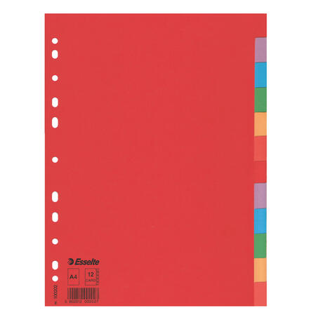 Separatori Intercalari ECONOMY in Cartoncino Colorato 160 gr ESSELTE